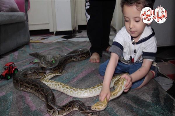«طرازان» المنصورة.. ساجد والحيوانات المفترسة «قصة حب طفولية»