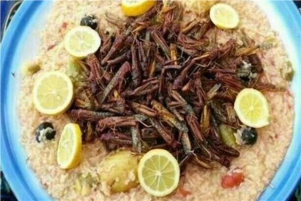 «الوجبة بـ 300 ريال» .. طريقة طهي «الجراد» في المنزل