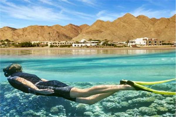 صورة موضوعية 