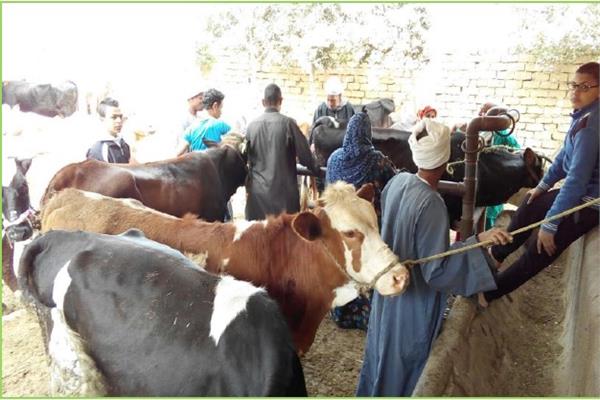 «البحوث الزراعية» تنفذ دورة تدريبية لرفع كفاءة الأطباء البيطريينالبحوث الزراعية