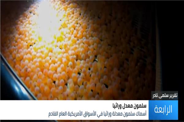 صورة من مقطع الفيديو 