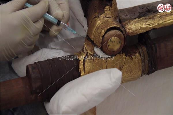  أسلحة مصرية لتدمير الحشرات «الآكلة» للآثار