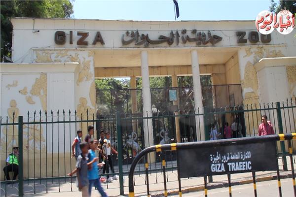 حديقة الحيوان بالجيزة 