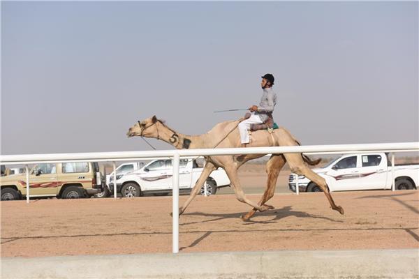  مهرجان ولي العهد السعودي 