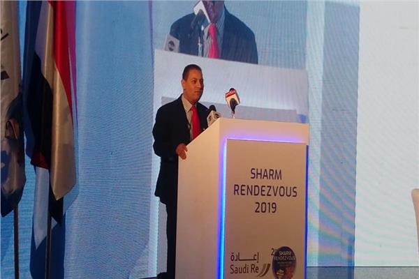 الدكتور محمد عمران رئيس هيئة الرقابة المالية