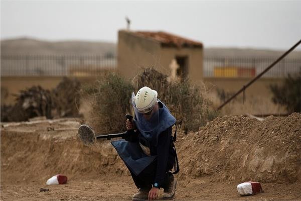 صورة موضوعية