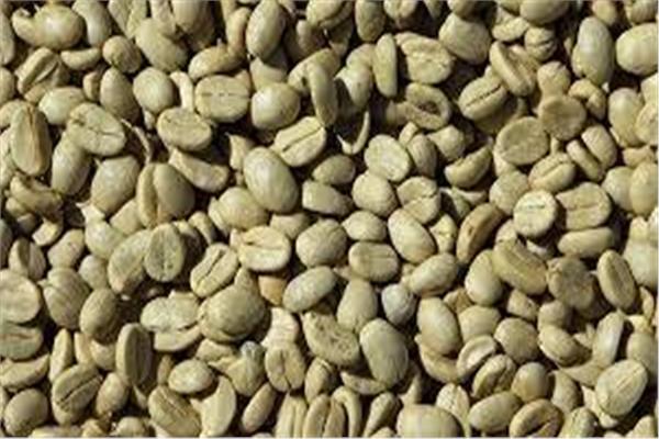 القهوة الخضراء