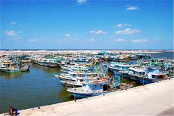 صورة موضوعية