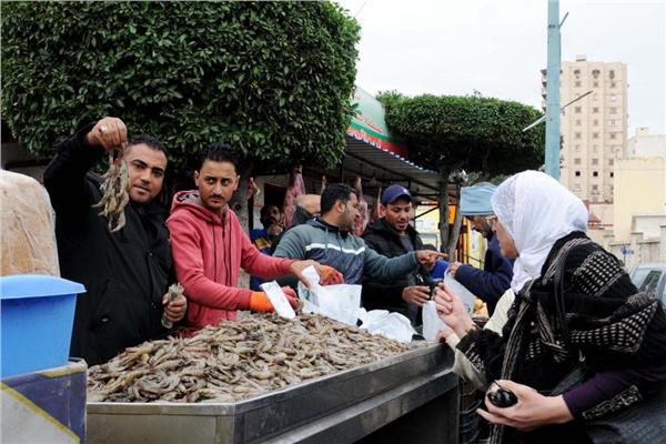 بالصور|أسماك غليون بـ 22 منفذ في الإسكندرية.. والجمبري بـ 90 جنيها