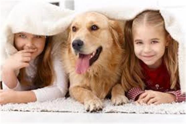 تربية الحيوانات .. هذه مميزاتها وأضرارها على الأطفال