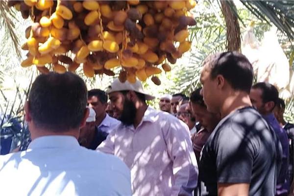 الحملة القومية لمكافحة سوسة النخيل الحمراء