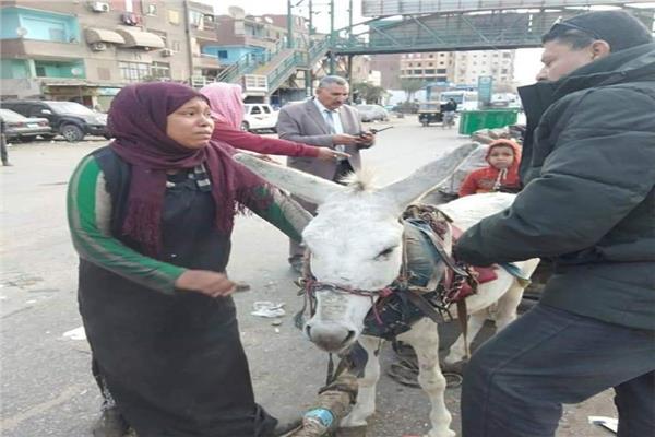 عاجل| رد عاجل من محافظة القليوبية على واقعة «سيدة الكارو» الباكية