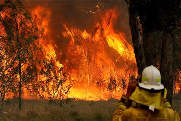 مصرع 3 أمريكيين إثر تحطم طائرة مكافحة حرائق الغابات باستراليا