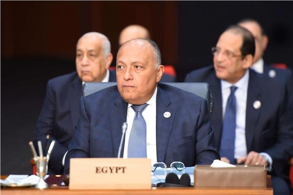 سامح شكري