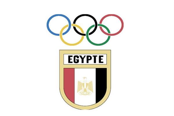 وزارة الرياضة تدعم الاتحادات الأولمبية بـ161مليون جنيه استعدادًا للأولمبياد