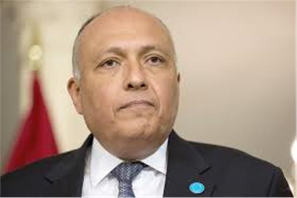 سامح شكري وزير الخارجية