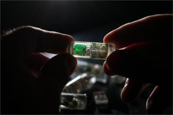 صورة موضوعيه
