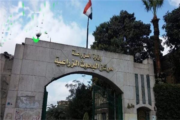مركز البحوث الزراعية بوزارة الزراعة