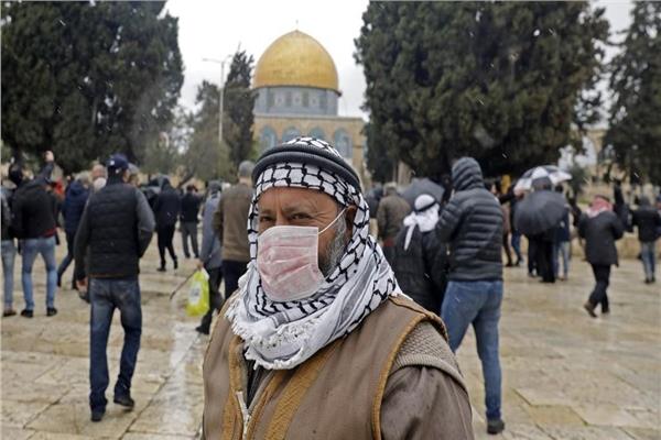كورونا في فلسطين