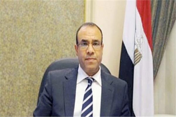 السفير الدكتور بدر عبد العاطي