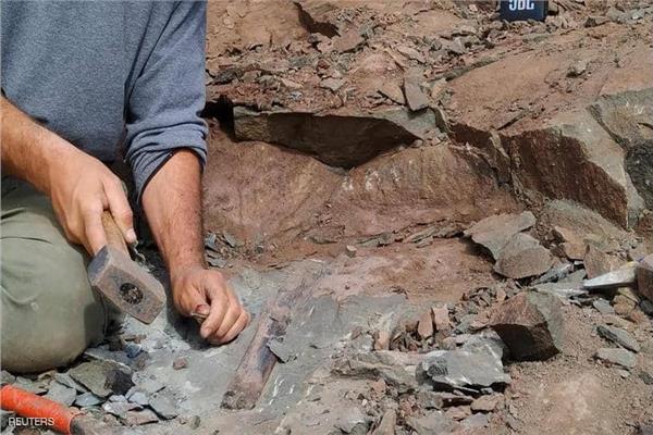 صورة ارشيفية