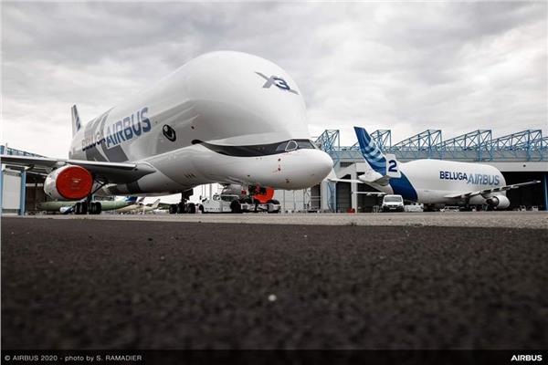 طائرات الحوت الأبيض