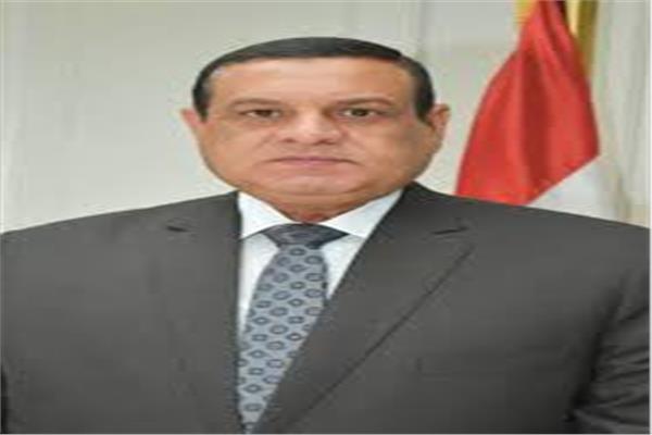 محافظ البحيرة