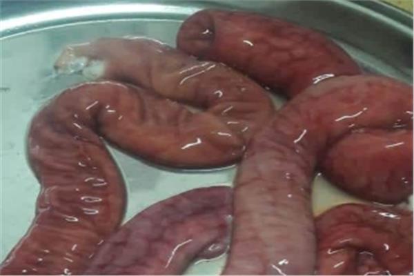 سبب تغير لون «الممبار» للأحمر .. وتحذير من تناوله
