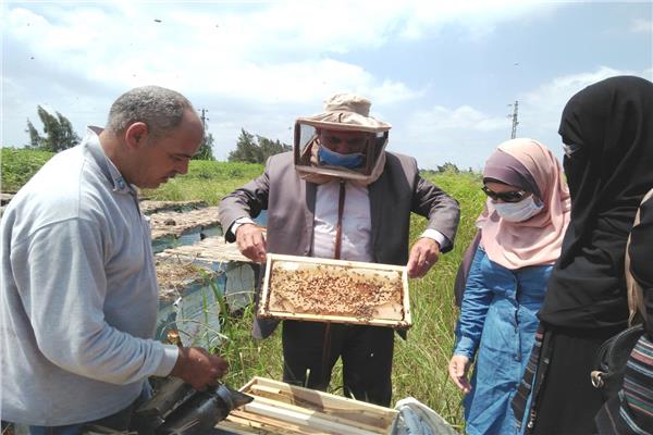  فحص المناحل ويقدم تسهيلات لإجراءات التراخيص