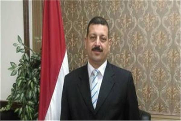 المتحدث الرسمي لوزارة الكهرباء والطاقة المتجددة د. أيمن حمزة