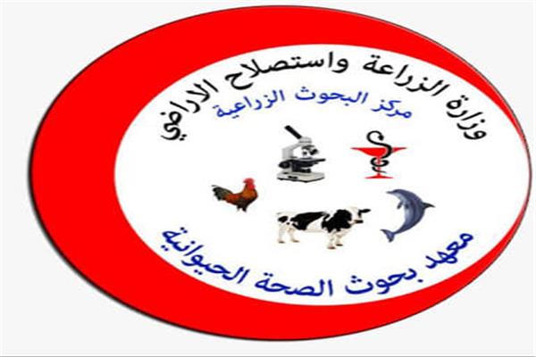 معهد صحة الحيوان