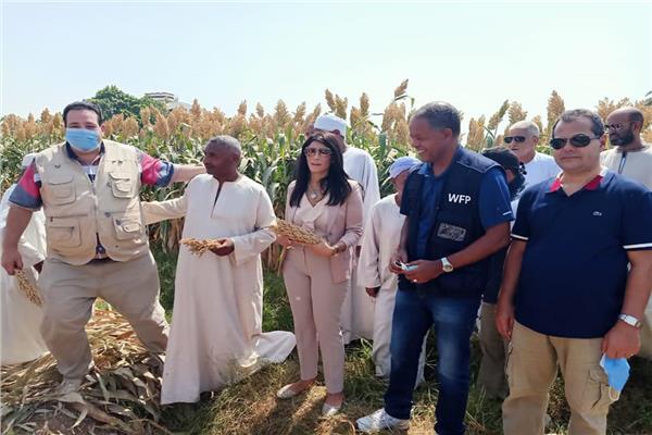 وفدا وزارتي الزراعة والتعاون الدولي زيارة المشروعات الزراعية بمحافظة الاقصر