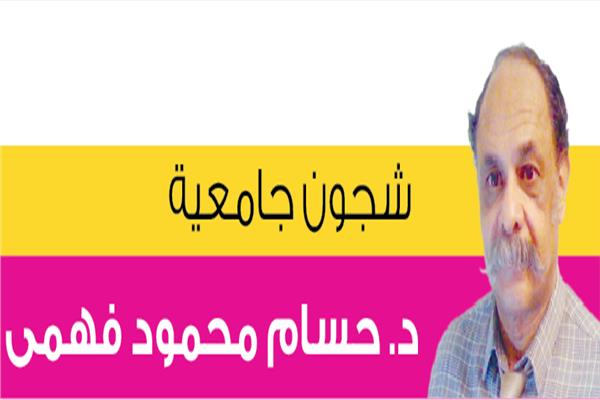 د. حسام محمود فهمى