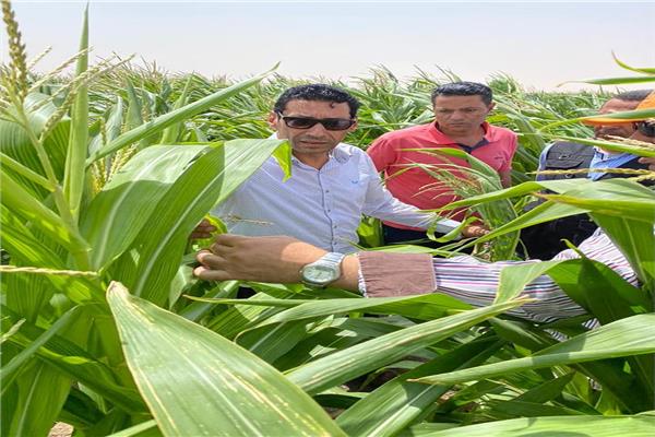 اللواء ايهاب صابر مساعد وزير الزراعة 