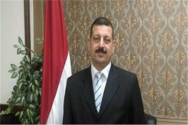 المتحدث الرسمي لوزارة الكهرباء والطاقة المتجددة د. ايمن حمزة 