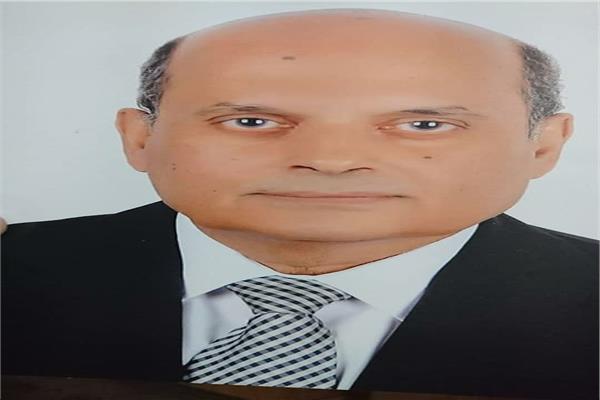 المهندس مجدي محمدين