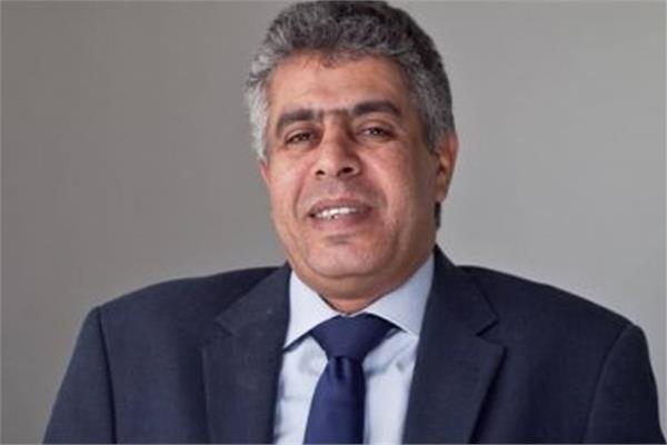 عماد الدين حسين، عضو مجلس الشيوخ