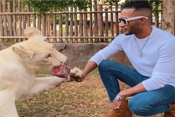 محمد رمضان يستعرض عضلاته أمام أخطر "حيوانات دبي"