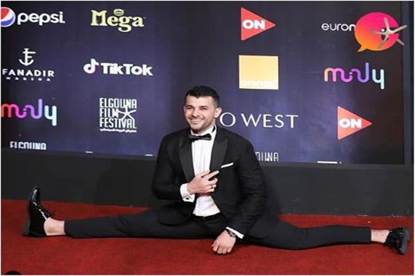 رامز أمير