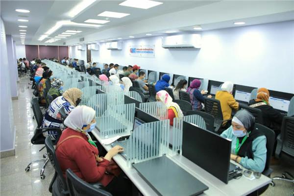 التنظيم والإدارة