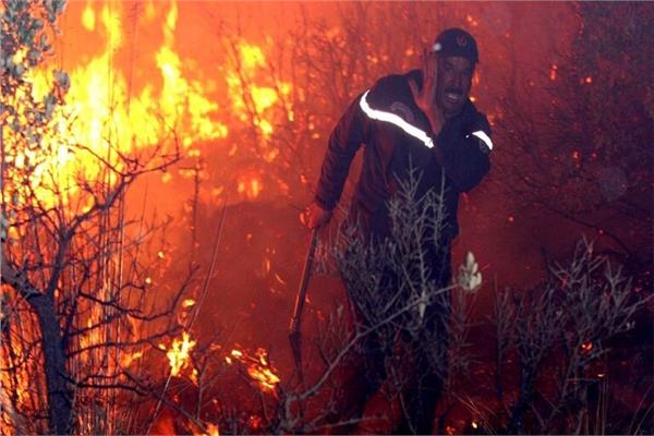 جحيم في الجزائر.. قتلى ومصابون في حرائق واسعة 