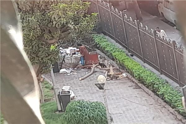 حديقة دار العلوم 