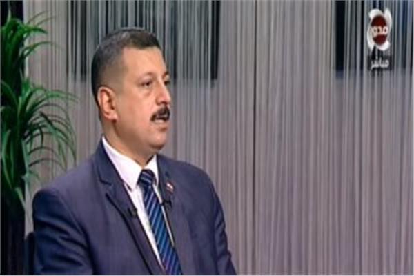 الدكتور أيمن حمزة المتحدث باسم وزارة الكهرباء