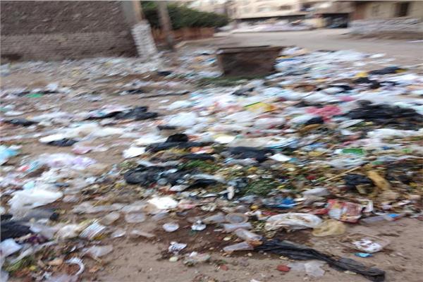 قرية منشية المصري بالمنيا 