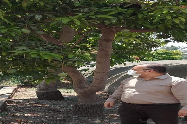 جانب من الحدث 
