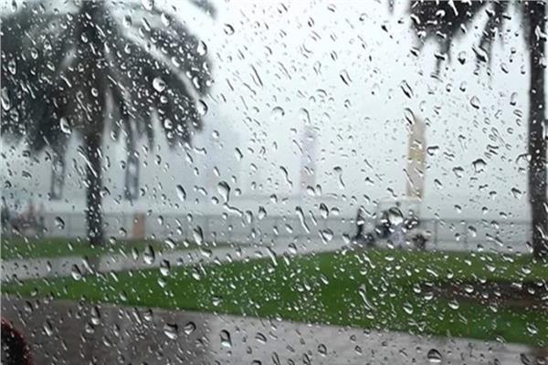 صورة موضوعية