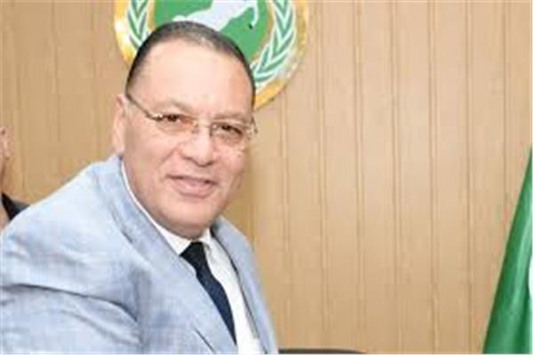 محافظ الشرقية