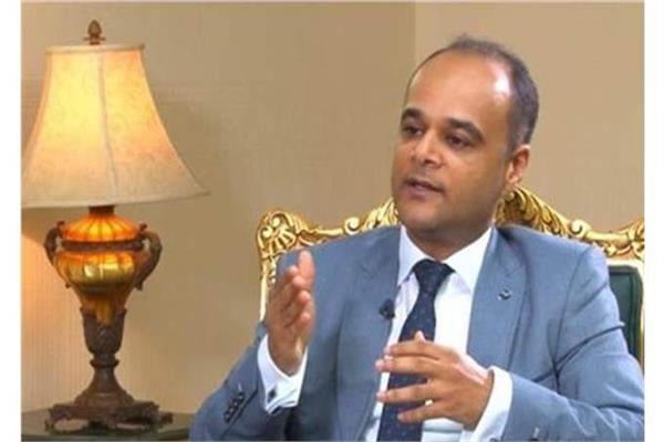 المستشار نادر سعد