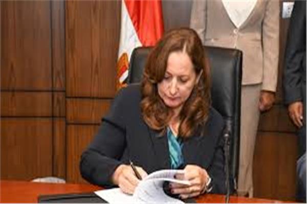 الدكتورة شريفة شريف، المدير التنفيذي للمعهد القومي للحوكمة والتنمية المستدامة