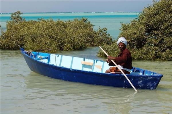  للاحتفاظ بطبيعتها.. قرية مصرية تحدد 3 شروط لزيارتها